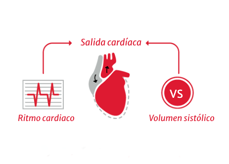 Gasto card&iacute;aco (GC) = volumen sist&oacute;lico x frecuencia card&iacute;aca